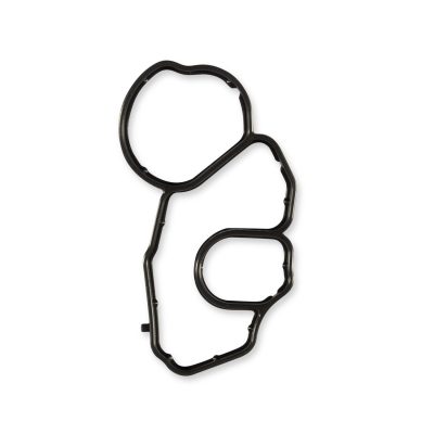 Oil Filter Housing Gasket for BMW N13 engine (Big)